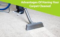 Shiny Carpet Cleaning Falls Church VA image 4